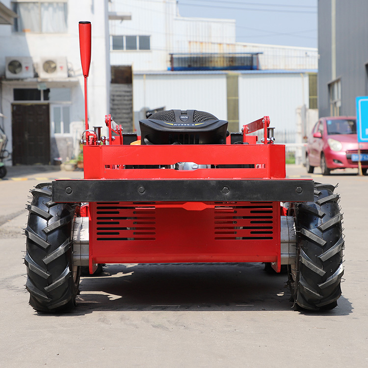 Günstige Rasenmäher