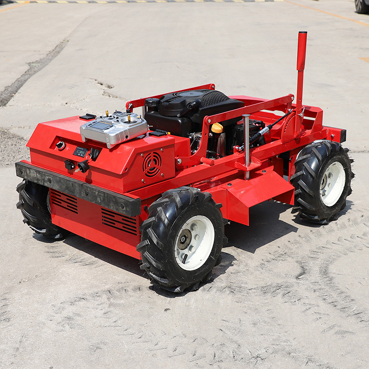 Günstige Rasenmäher