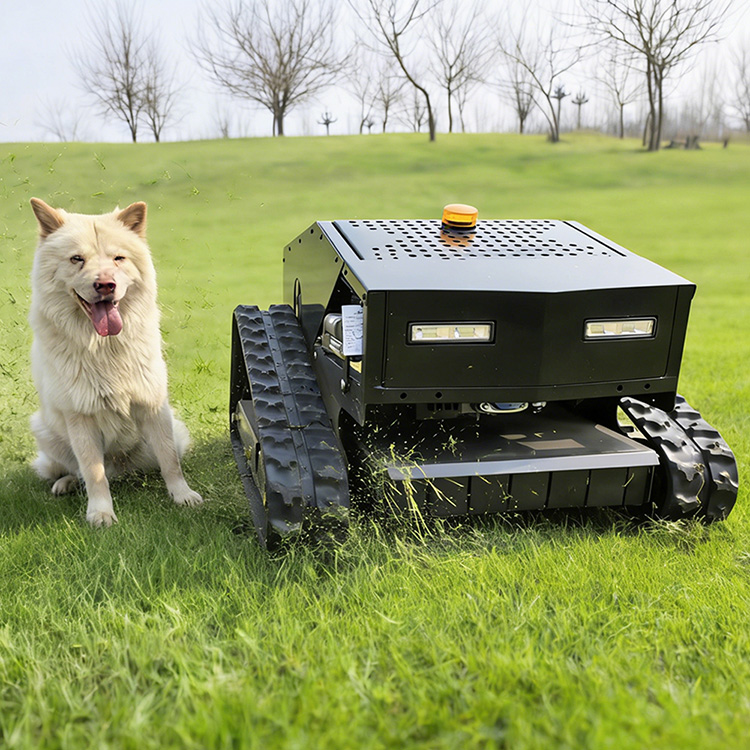 Rasenmäher zu verkaufen