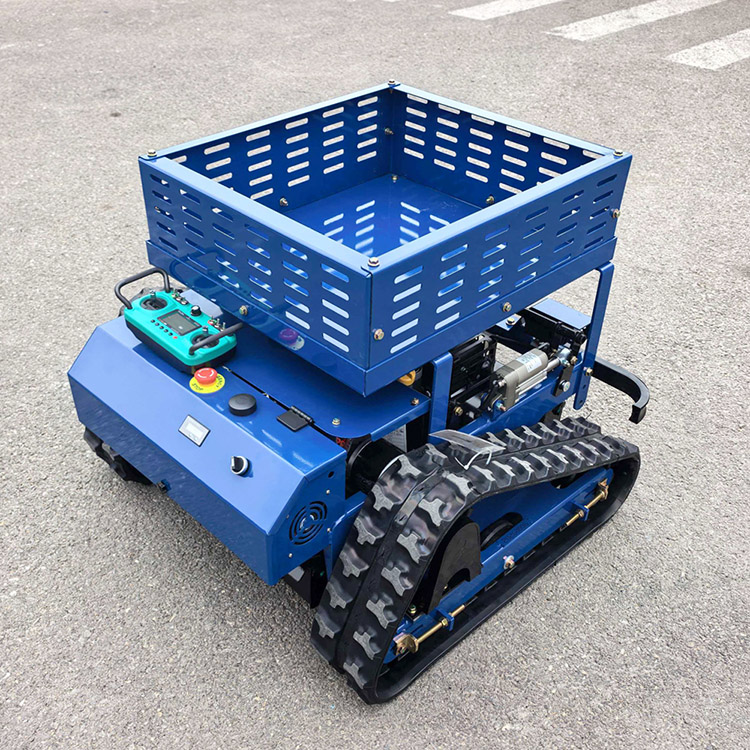 Rasenmäher mit Fernbedienung