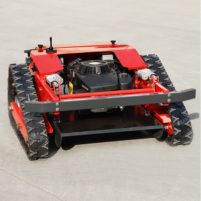 Rasenmäher mit Fernbedienung