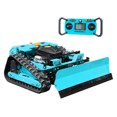 Benzinrasenmäher-Abverkauf