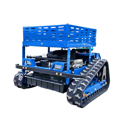 Rasenmäher mit Fernbedienung