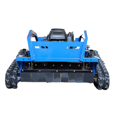 RC1000S gute Rasenmäher