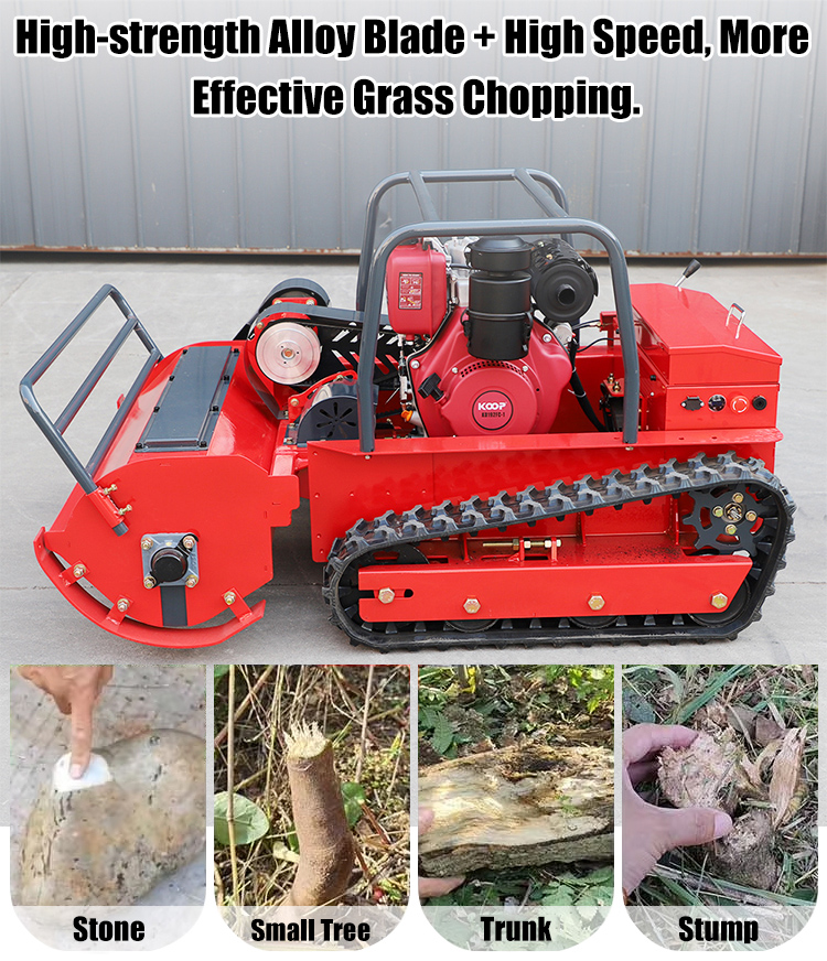 Rasenmäher mit Fernbedienung