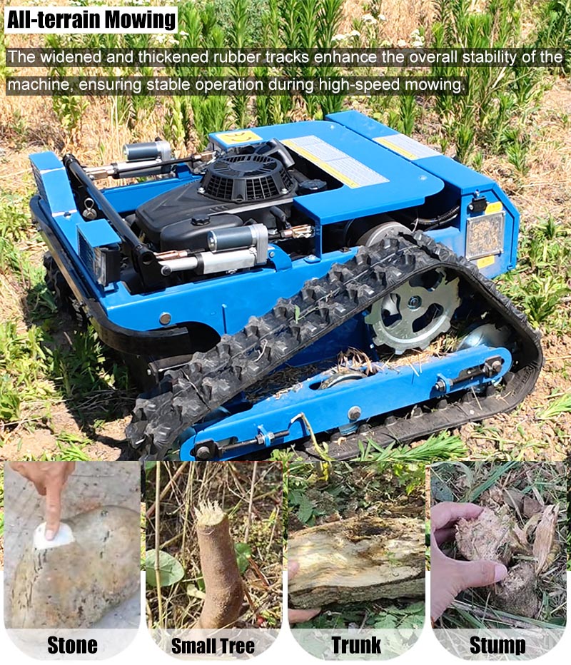 Selbstfahrender Rasenmäher.jpg