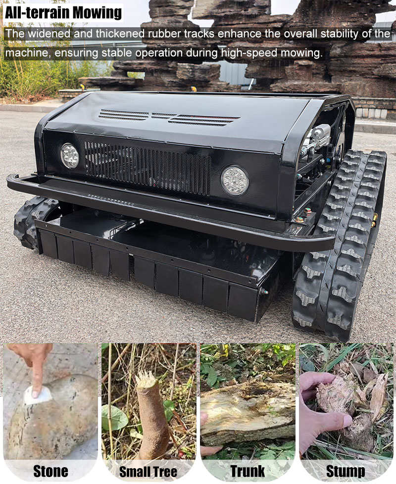 Hocheffizienter Rasenmäher.jpg Hocheffizienter Rasenmäher.jpg