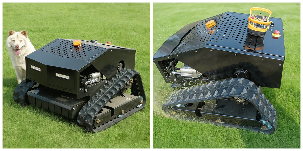 Rasenmäher Rasenmäher